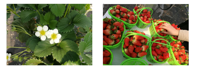 1515383440(1).jpg 1515383440(1).jpg